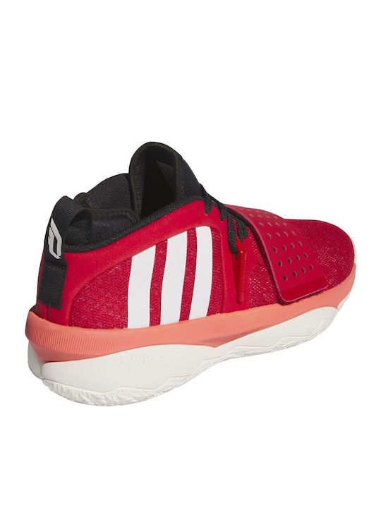 adidas adidas