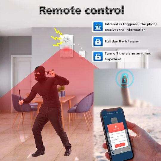 Wireless Alarm System