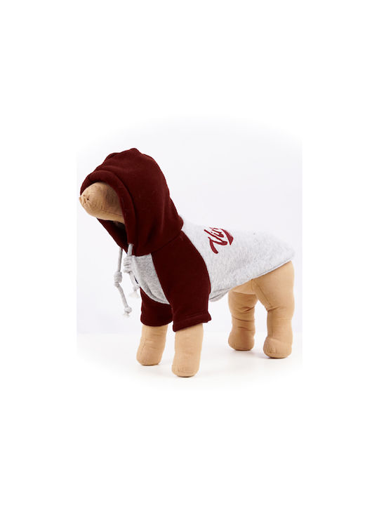 Glee Kapuze Sweatshirt Hund in Gray Farbe 49x49εκx49εκcm.