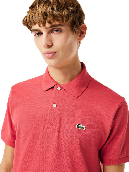 Polo T-shirt Rose