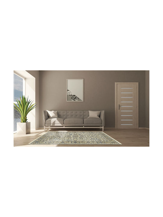 Newplan Toronto 0172 (0173) /260 Rug Rectangular 067x150