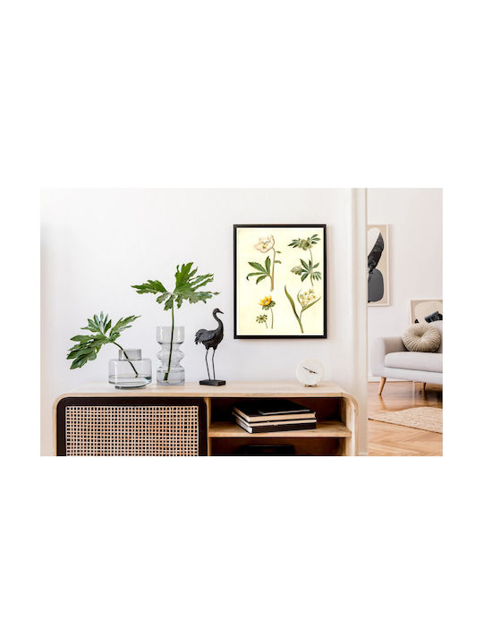 Helleborus Niger (common Christmas Rose);eranthis Hyemalis (garden-erantis);gagea Lutea (common Golden Star) By Maria Sibylla Merian Painting on Canvas 100x150cm