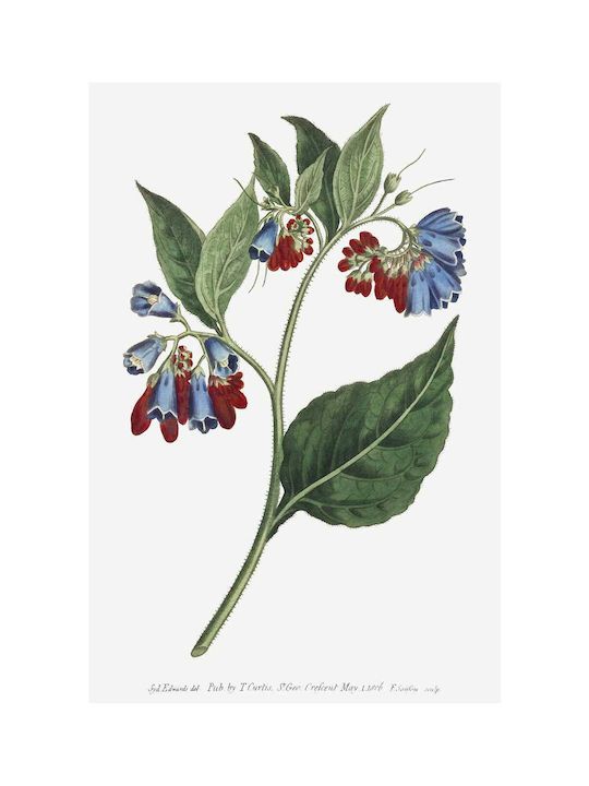 1806 Image From Πίνακας σε Καμβά 100x150cm