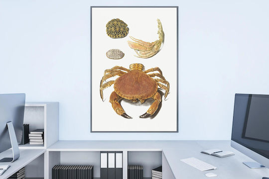 A Crab, A Pair Of Crab Claws And Two Turtle Shells By Johann Gustav Hoch (1716–1779) Painting on Canvas 40x65cm
