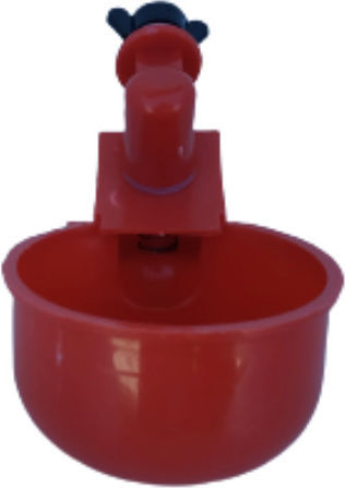 Automatic Watering Can for Birds