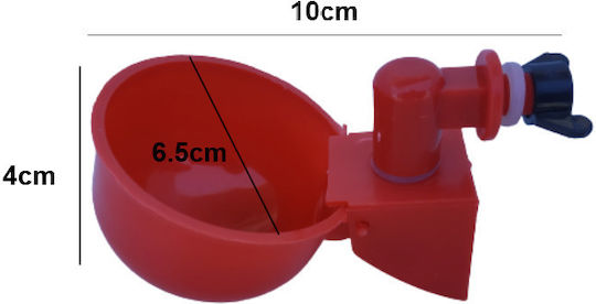 Automatic Watering Can for Birds