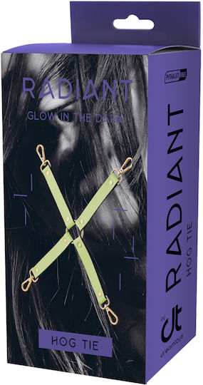 Dream Toys BDSM Accessory in Green Color