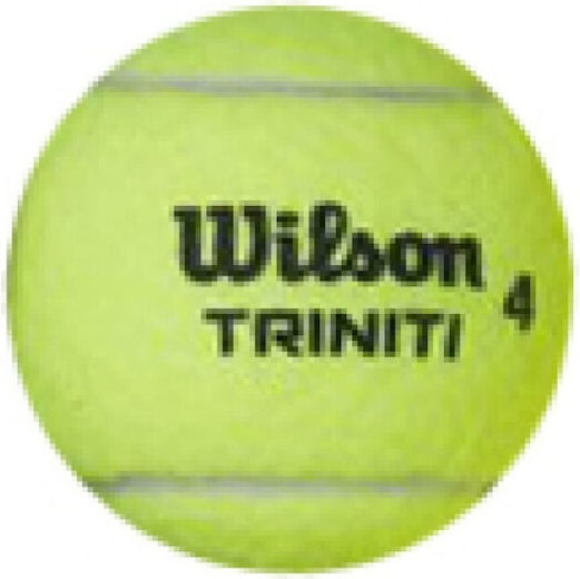 Wilson Triniti Club Tennisbälle Tennis Praxis 1Stück