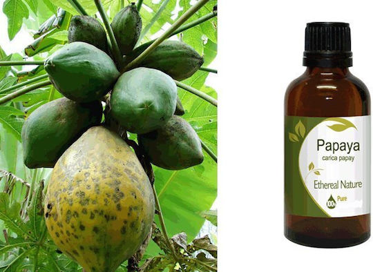 Nature & Body Ulei de Papaya 30ml
