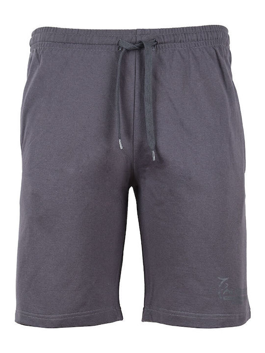 Men's Shorts Gray