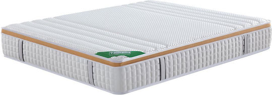 Woodwell Pocket Spring Queen Anatomic Saltea 160x200x30cm