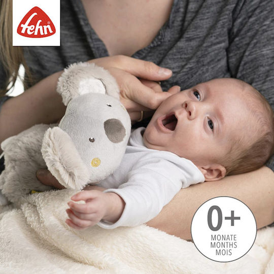 Fehn Θερμοφόρα με Κουκούτσια Κερασιού
