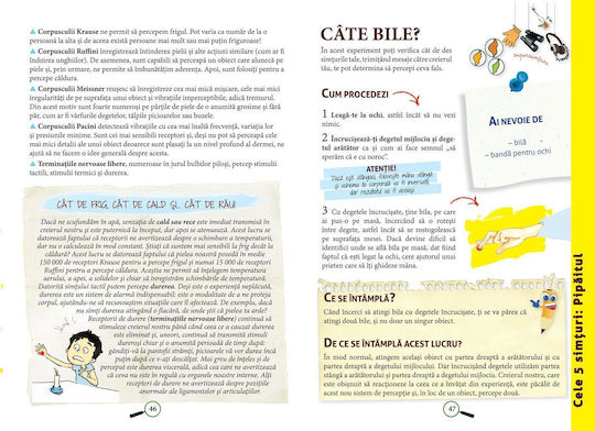 Enciclopedie De Experimente În Practică