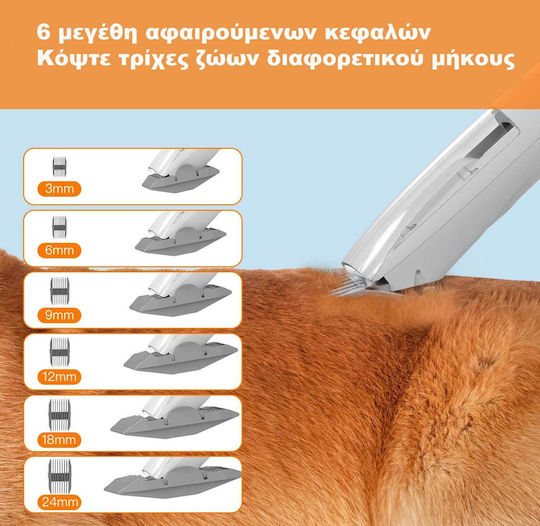 Airrobo Επαγγελματικό Kit Περιποίησης Λευκό