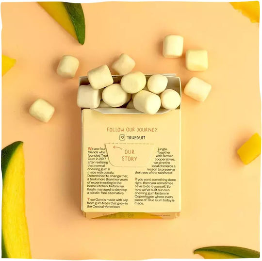 True Gum Τσίχλες Χωρίς Προσθήκη Ζάχαρης 21gr
