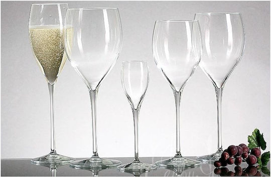 Luigi Bormioli Magnifico Set Gläser für Weißwein aus Glas Mit Stiel 460ml 6Stück