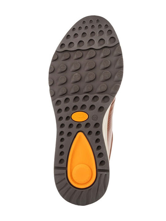 Herren Sneakers Tampa