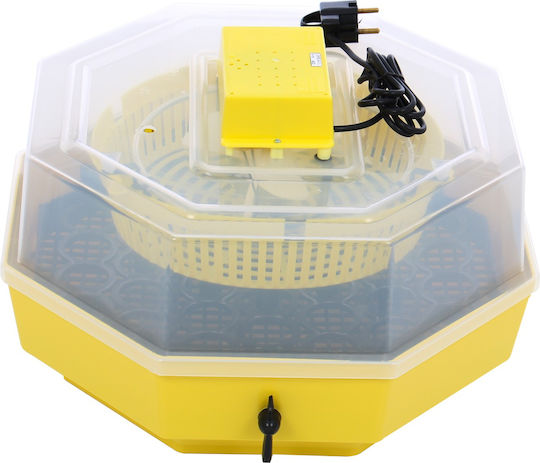 Cleo 5d Incubatoare De Ouă Automată