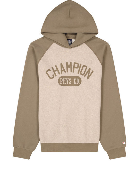 Champion Men's Sweatshirt with Hood brown