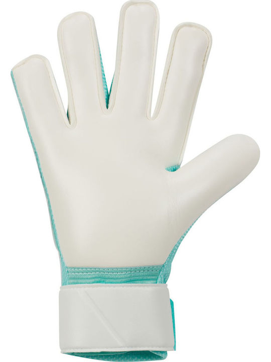 Nike Match Adults Goalkeeper Gloves Multicolour