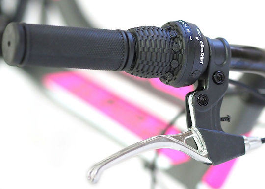 Alpina Alpha 24" Bicicletă pentru copii Biciclete de munte 21 Viteze (2020) Doamnă Gri