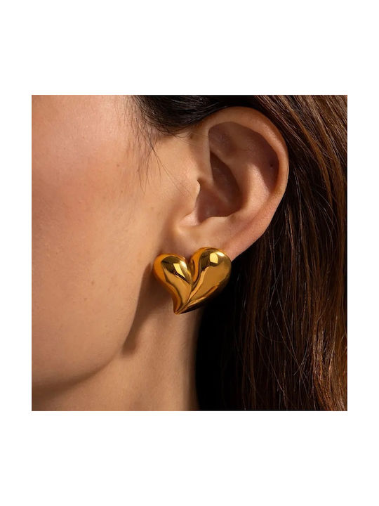 Bode Earrings made of Steel Gold Plated