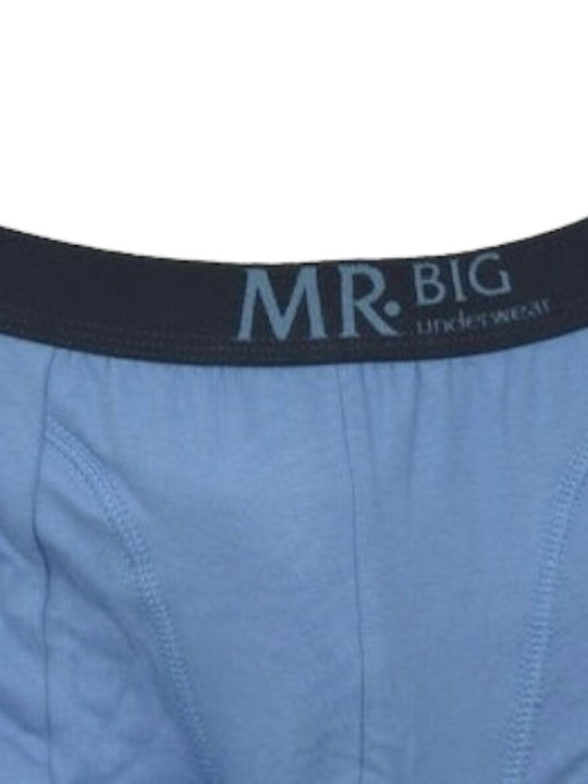 Mr.Big 201 Herren Boxershorts Ciell 1Packung