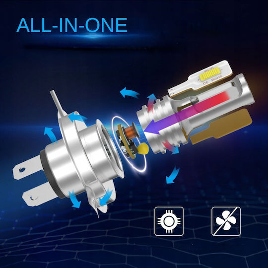 Interlook Λάμπες Αυτοκινήτου H4 Canbus LED 6500K Ψυχρό Λευκό 12-24V 80W 2τμχ