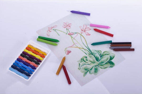 Astra Set von Buntstiften mit 12 Farben