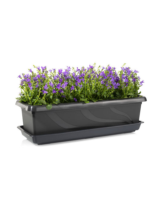 Hydrostab Topf 60x16x15cm.