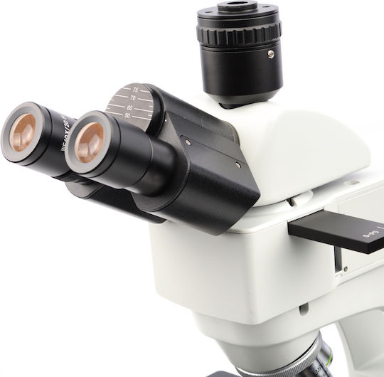 Rosfix Digital Microscope