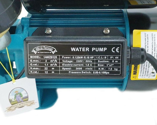 GF-1576 Cu o singură fază Pompa de presiune pentru apă cu rezervor de 2lt litri 0.34hp