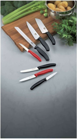 Victorinox Swiss Classic Μπλοκ Μαχαιριών Πλαστικό