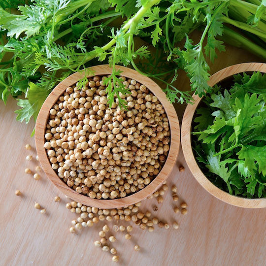 Coriander 90034-500 500gr