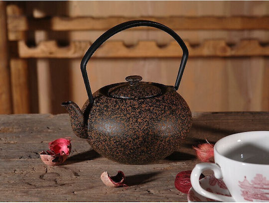 Patchy Teapot with Filter Cast Iron Hand Brown 450ml