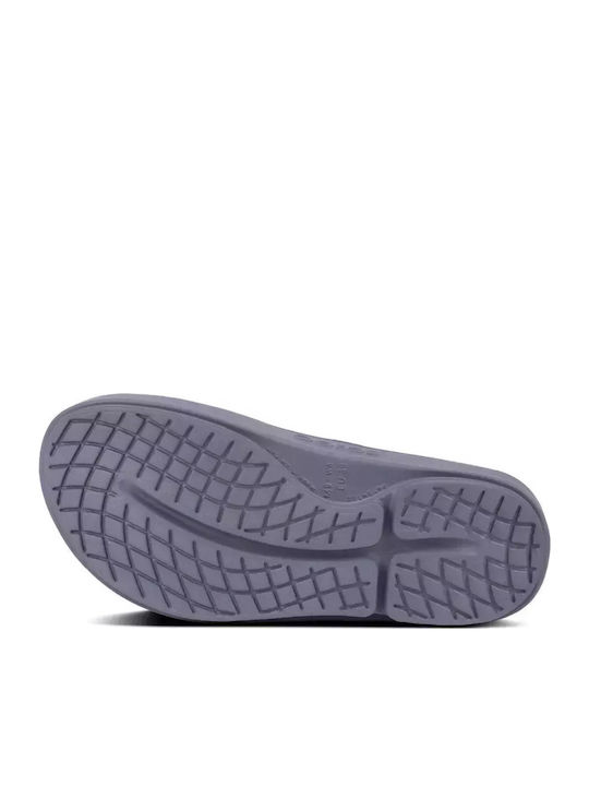 Slapi Bărbați Flip Flops Gri