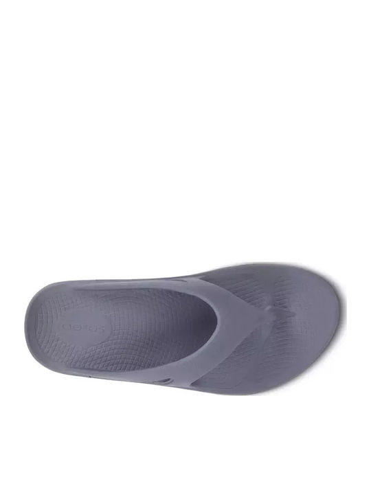 Slapi Bărbați Flip Flops Gri