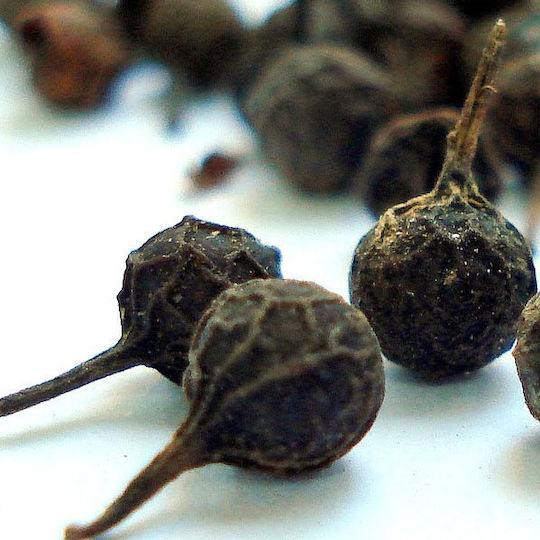 Πιπερι Κουμπεμπα Cubeb Ινδονησιας 100 Gr