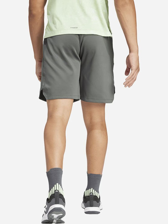 Adidas Workout Logo Knit Sportliche Herrenshorts GREEN IS3797