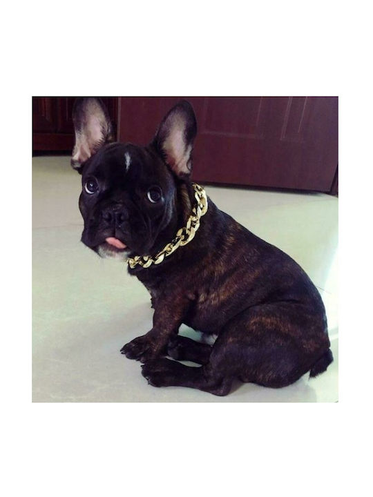 Itimport Hundehalsband in Gold Farbe Mittel Itimport Hundehalsband in Gold Farbe Mittel