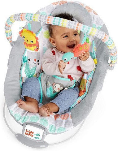 Bright Starts Elektrisch Baby Relax Whimsical Wild mit Musik und Vibration Mehrfarbig