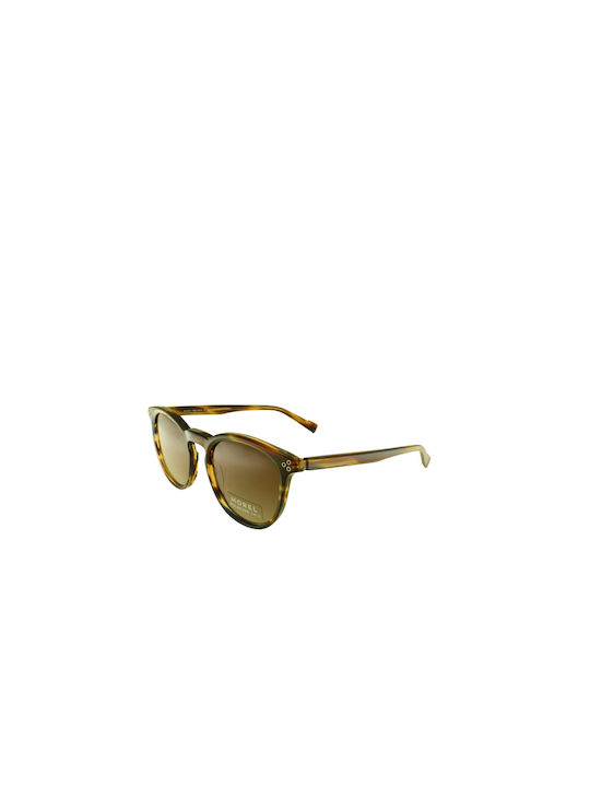 Morel Sunglasses with Brown Tartaruga Plastic Frame and Brown Gradient Lens MOREL MYLOS 1 TB03