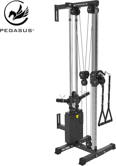 Pegasus SC‑300 Πολυόργανο Γυμναστικής με Βάρη