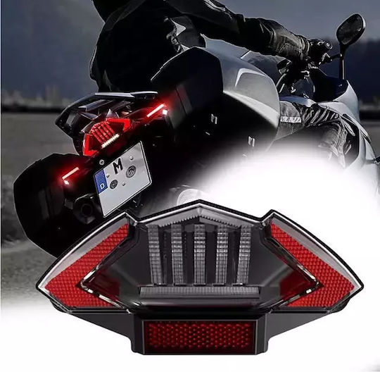 Lumina din spate Motocicletă LED pentru BMW F 800 / R 1200 1buc
