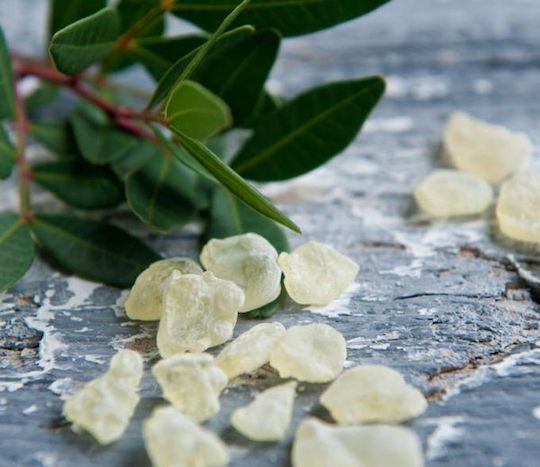 Panora Mastic in Powder 30gr