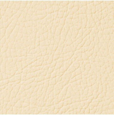 Leather Expert Sprühfarbe von Autos 250ml