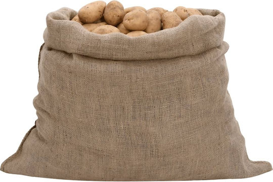 vidaXL Saci de recoltare a măslinelor din iută 100x110cm 30 bucăți