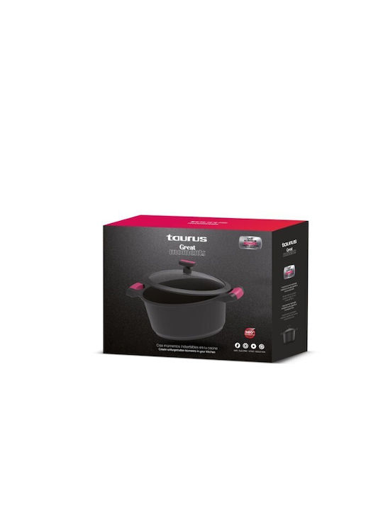 Zwilling J.A. Henckels din Fontă 3.8lt /