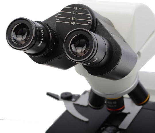 Rosfix Digital Microscop