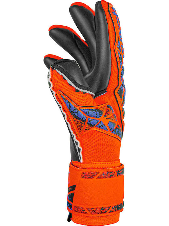 Reusch Attrakt Duo Adults Goalkeeper Gloves Orange